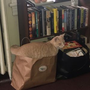 Meet your Posher, Tahvay